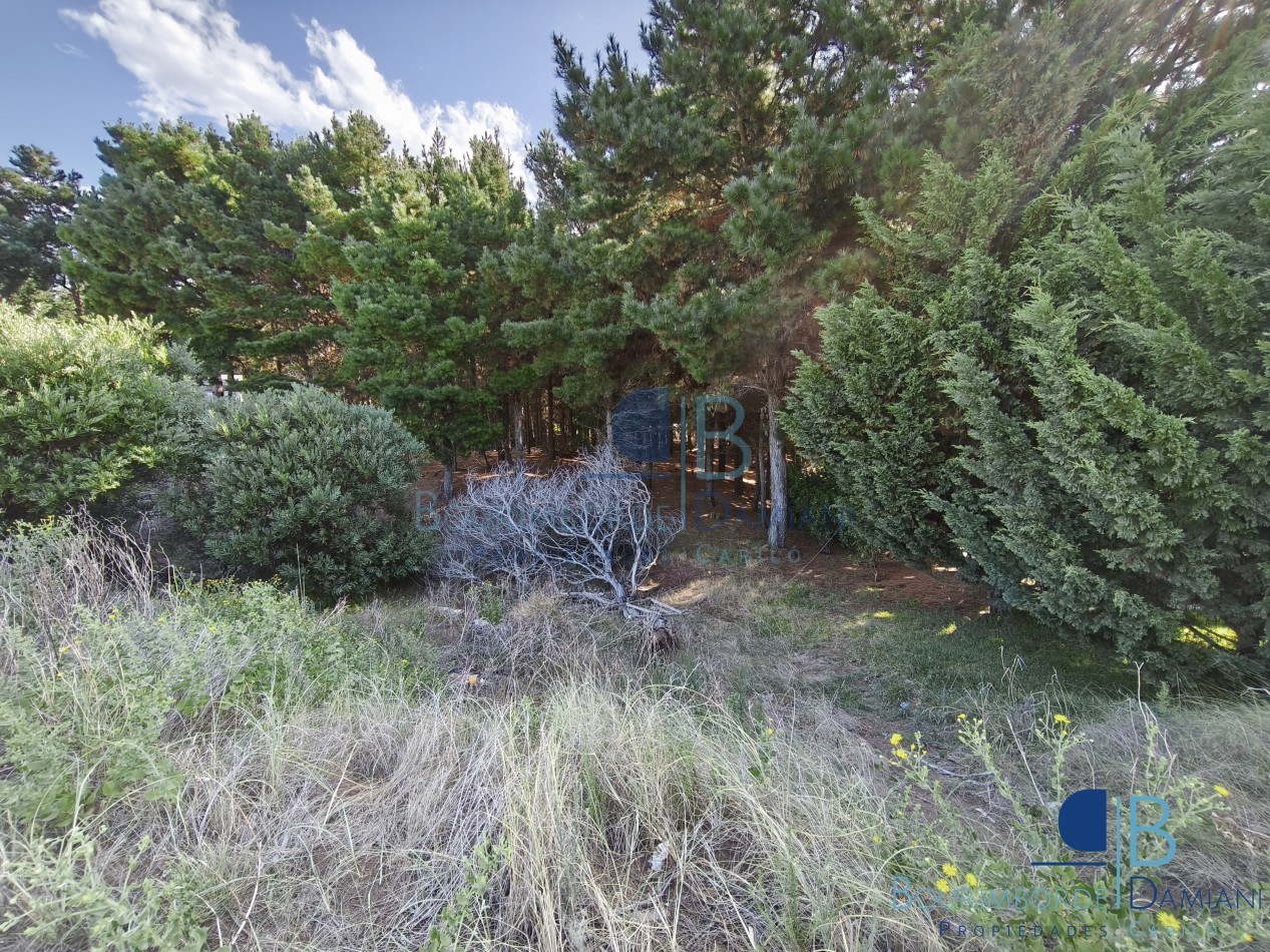 3005 - Lote Costa Esmeralda Senderos II lote al 100