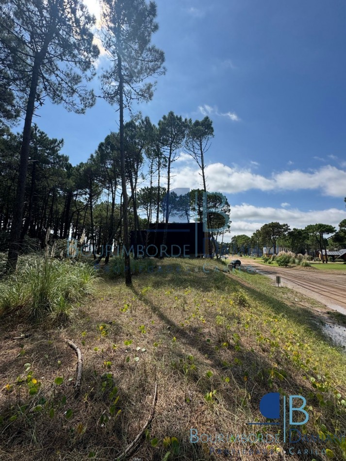 3008 - Lote en Pioneros