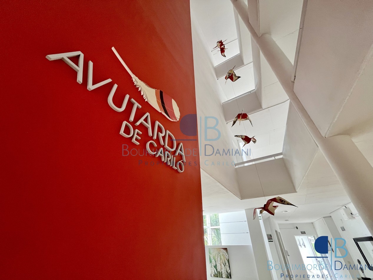 2011- Avutarda de Carilo 3E