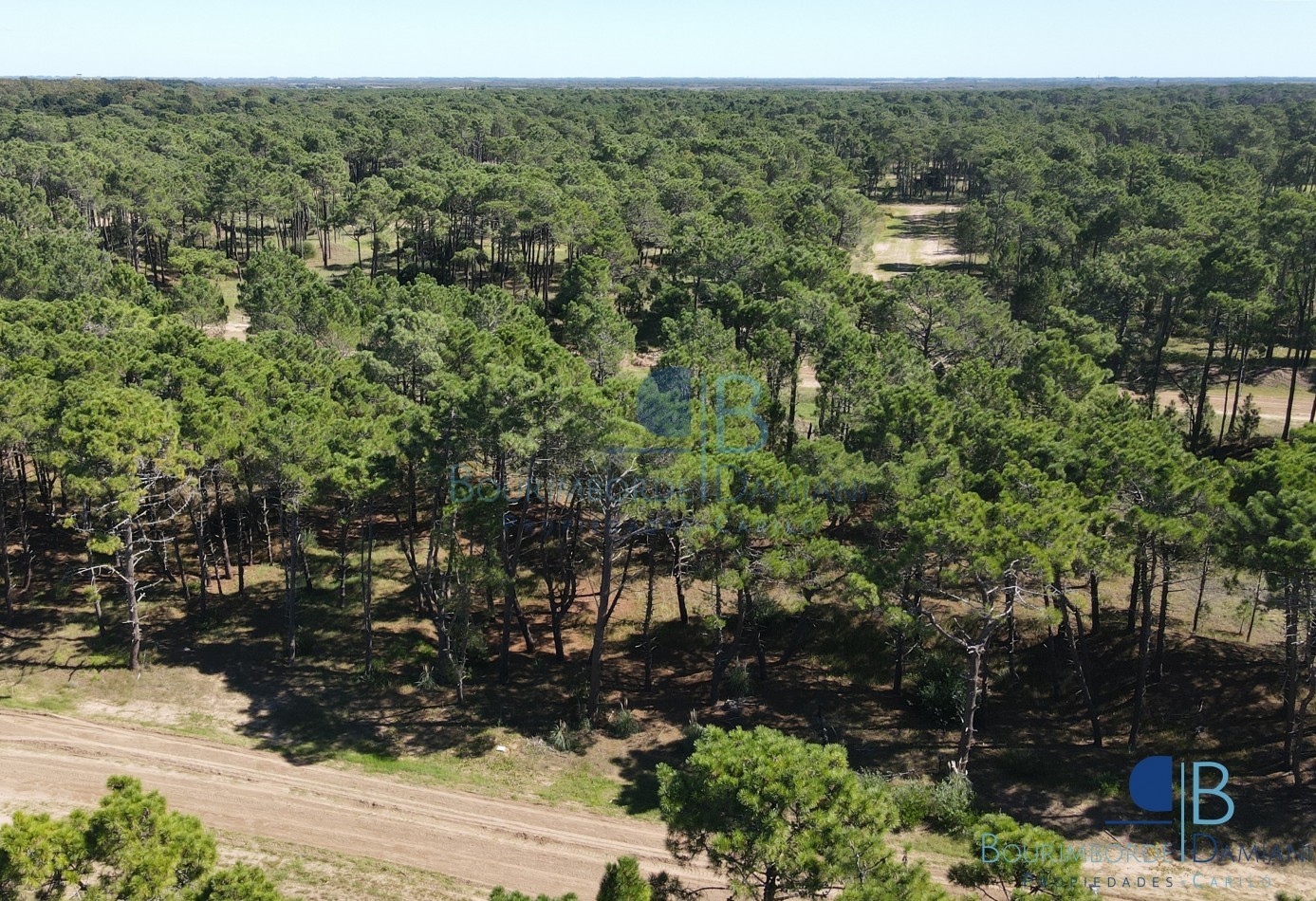 3010 - Lote en Bosques