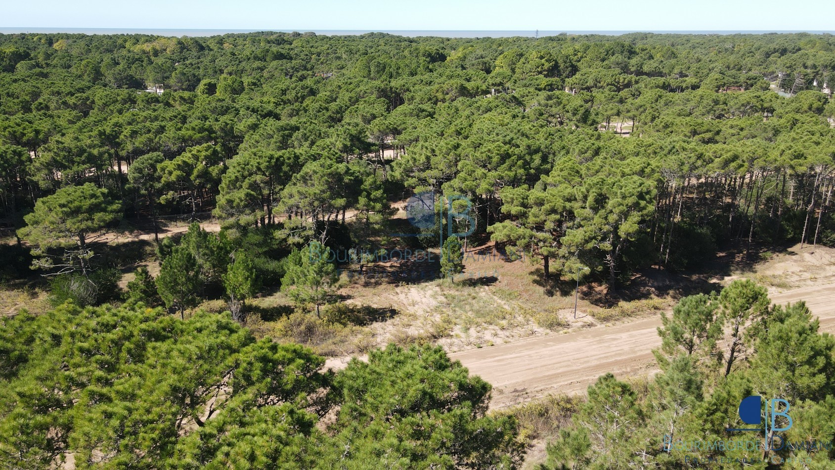 3011 - Lote en Bosques