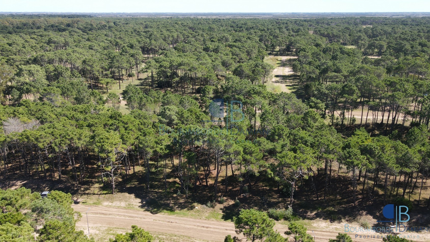 3010 - Lote en Bosques