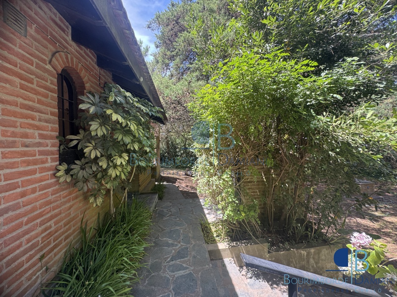 1039 - Divisadero y Nogal