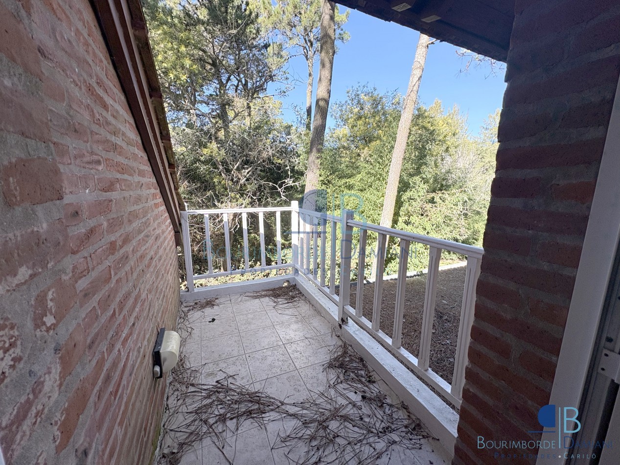 1051- Palmera e/ Oriol y Pinzon