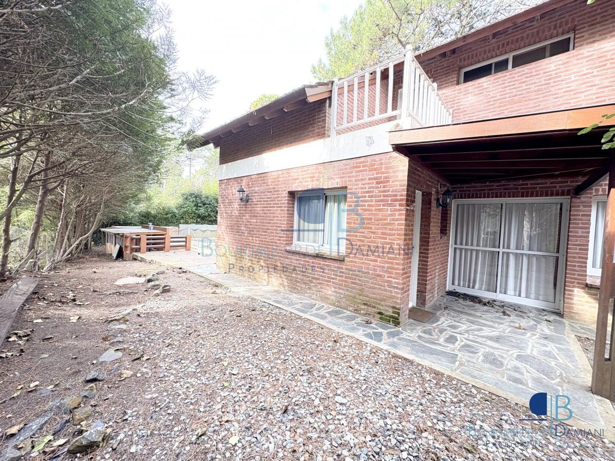 1051- Palmera e/ Oriol y Pinzon
