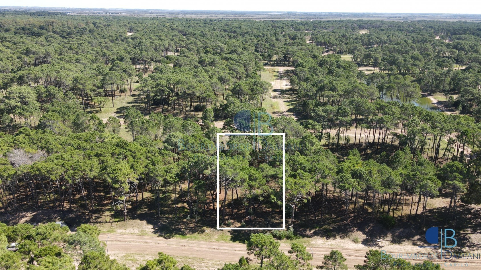 3010 - Lote en Bosques