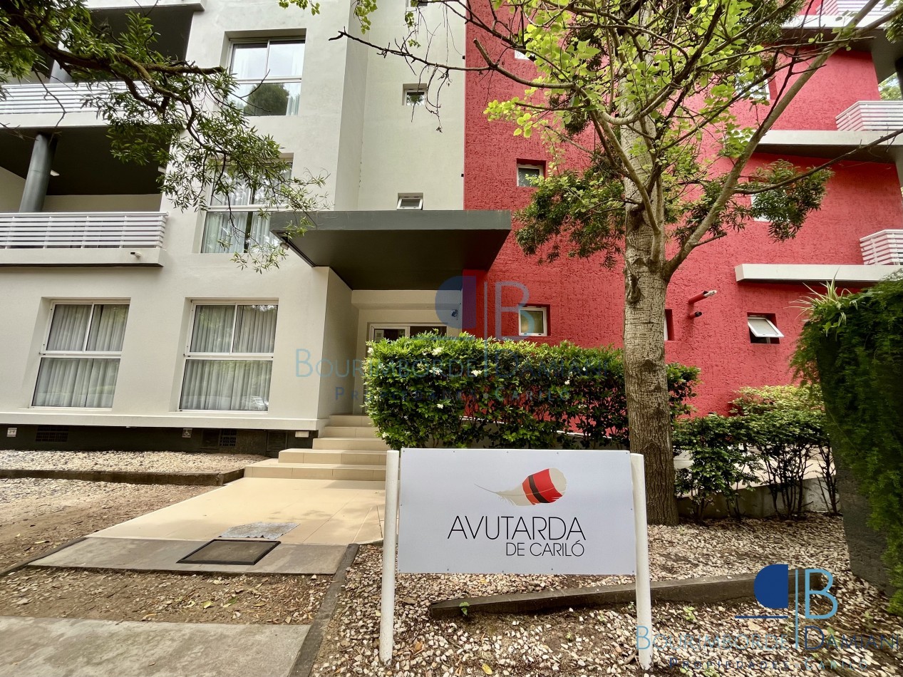 2011- Avutarda de Carilo 3E