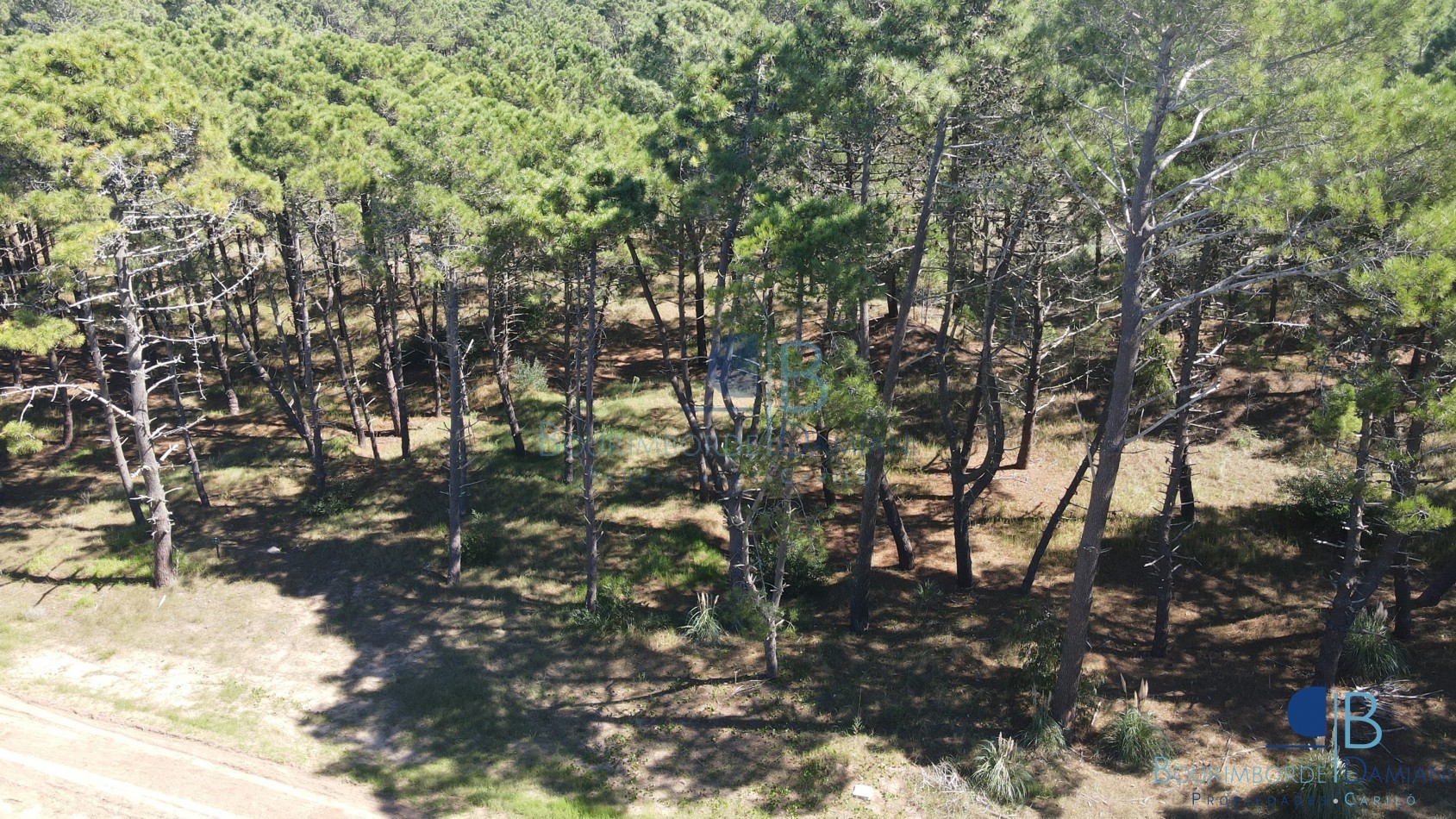 3010 - Lote en Bosques