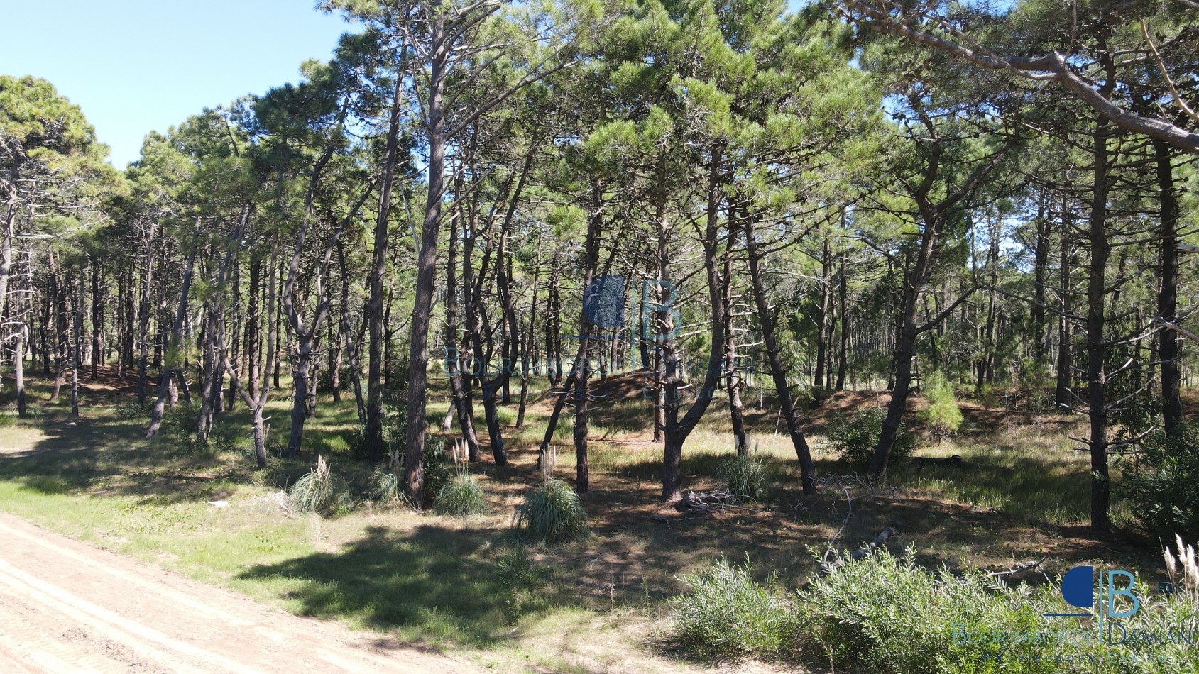 3010 - Lote en Bosques