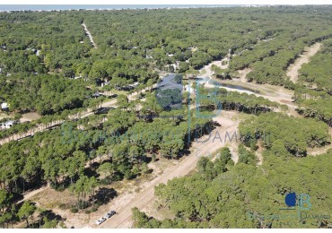 3011 - Lote en Bosques 