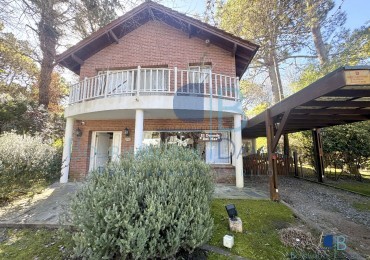 1051- Palmera e/ Oriol y Pinzon