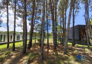 3007- Lote en Villa Robles 